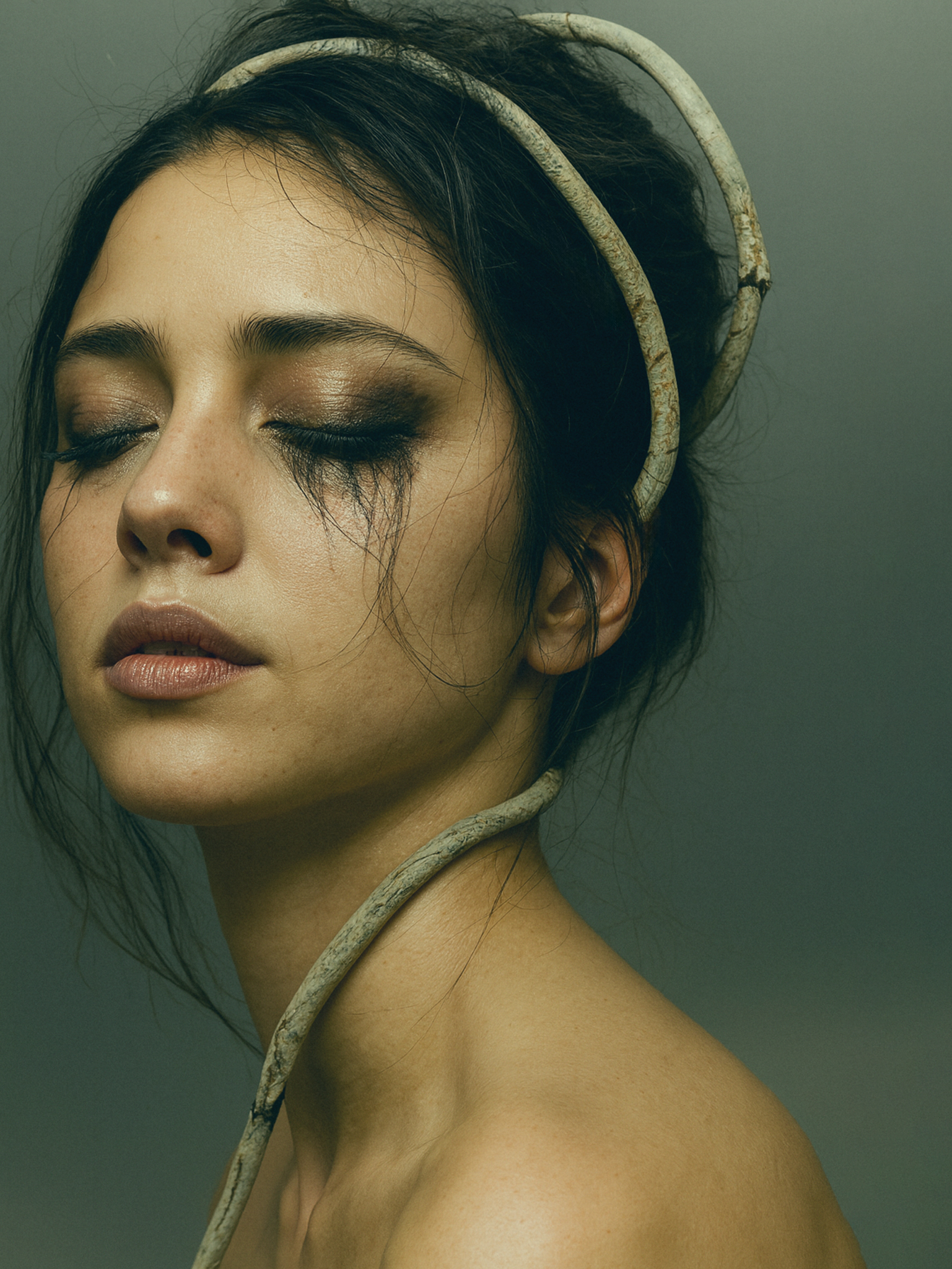 simulacra-arts lucida portrait